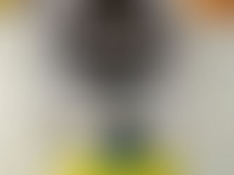 FICCO/SE prende traficante e apreende drogas em São Domingos/SE