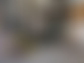 PF incinera duas toneladas de drogas em Minas Gerais