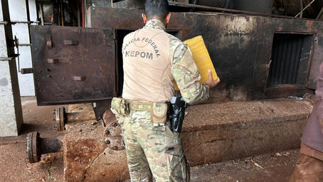 PF em Guaíra promove destruição de aproximadamente 17 toneladas de drogas