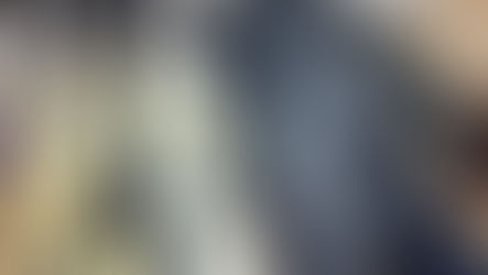 PF combate caça ilegal no Parque Nacional do Iguaçu