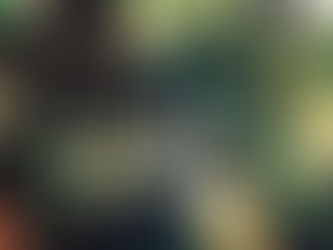 PF apura envolvimento de servidor público em crimes de corrupção e lavagem de dinheiro