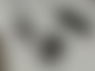 PF e IBAMA deflagram a Operação Falsos Elos em três estados