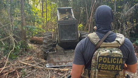 PF deflagra operação contra desmatamento ilegal em assentamento no oeste do Pará