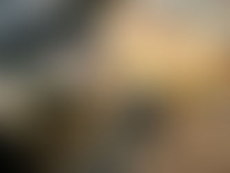 FICCO/CE prende foragidos da justiça