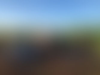 PF deflagra Operação Relutante em combate à extração e comercialização ilegal de madeiras no MA