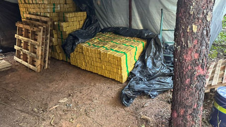 FICCO/MS apreende mais de oito toneladas de maconha em acampamento clandestino em zona rural