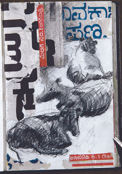 SK16.jpg