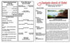 Bulletin 6/28/2026