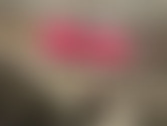 【ボクシング世界戦 観戦!!】