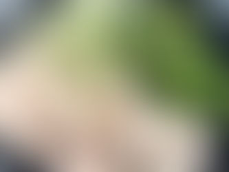 【減量末期!ついにディプリート開始】