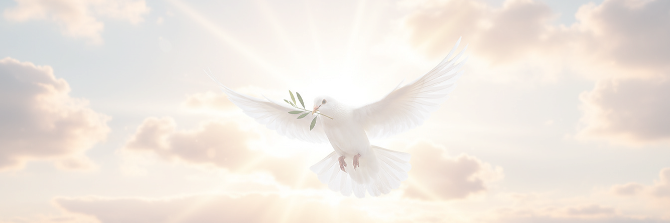 Hathcoat Funeral Services_edited_edited_