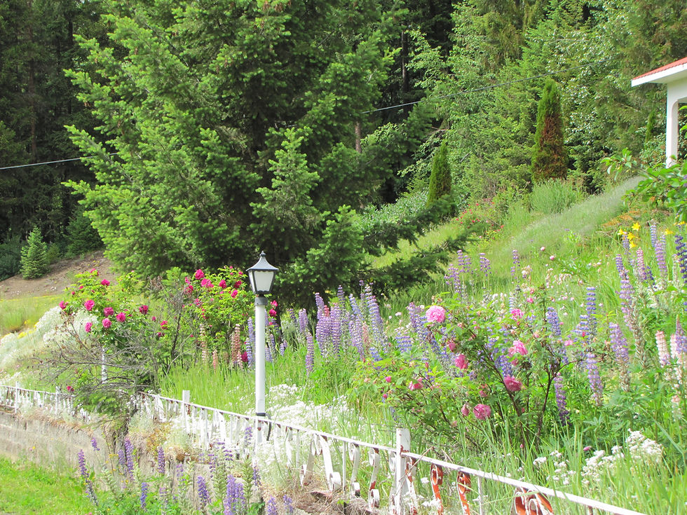 Garden 2