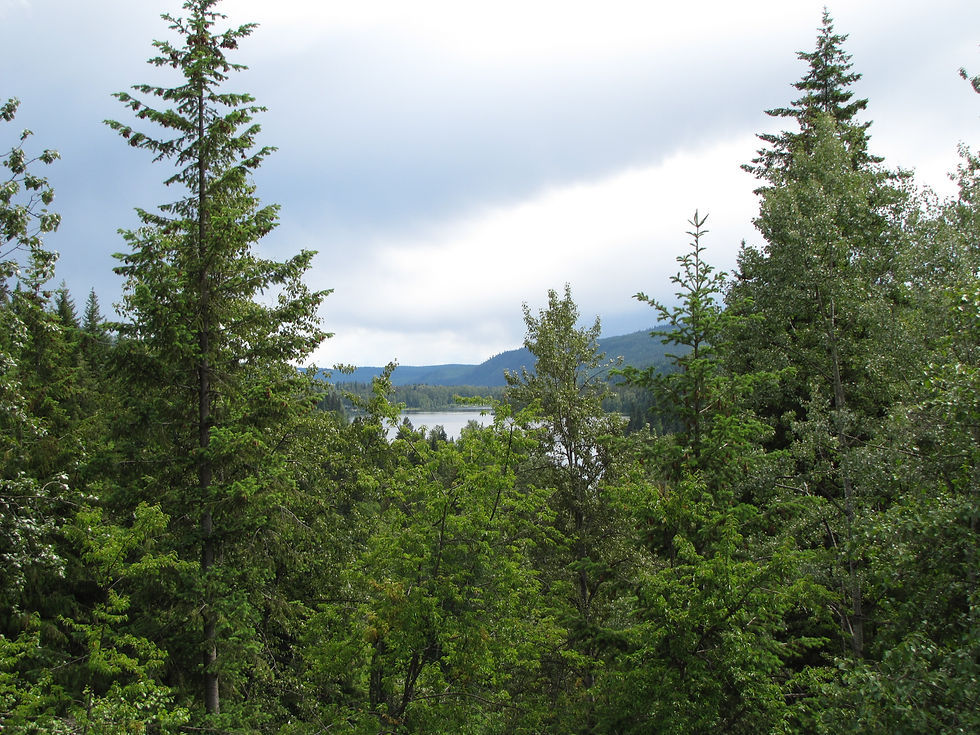 Lake View