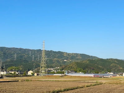 秋の100kmウルトラマラソンに向けて、最近変えたこと【朝ラン習慣】