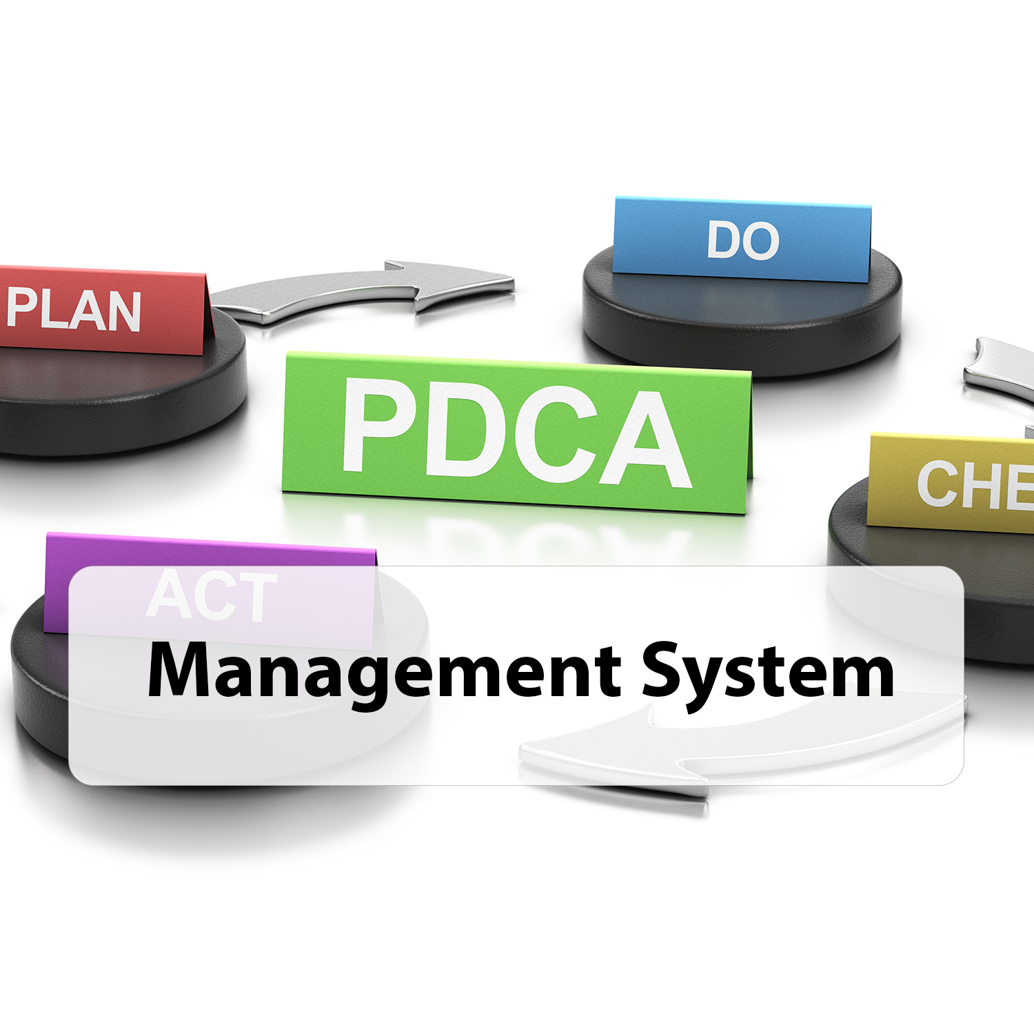 Management System