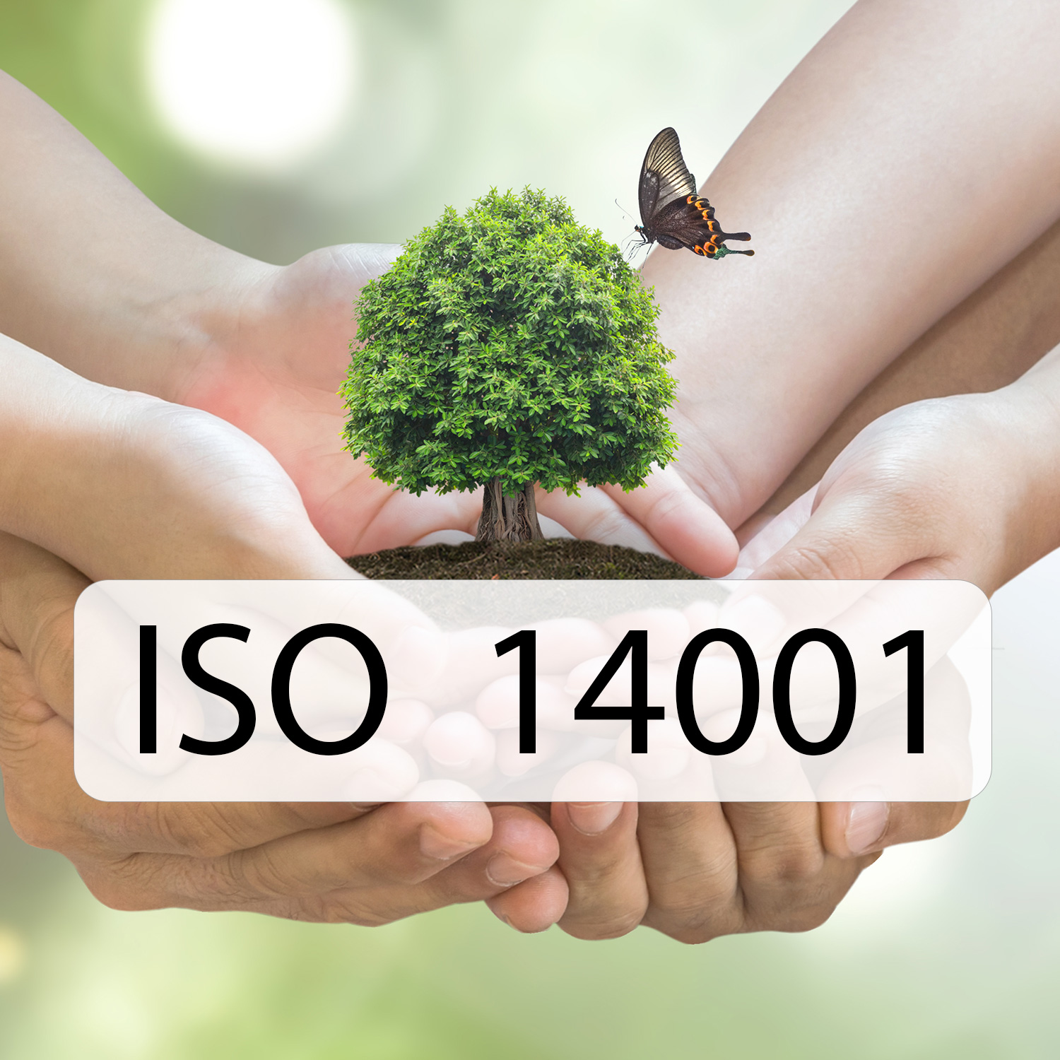 ISO 14001
