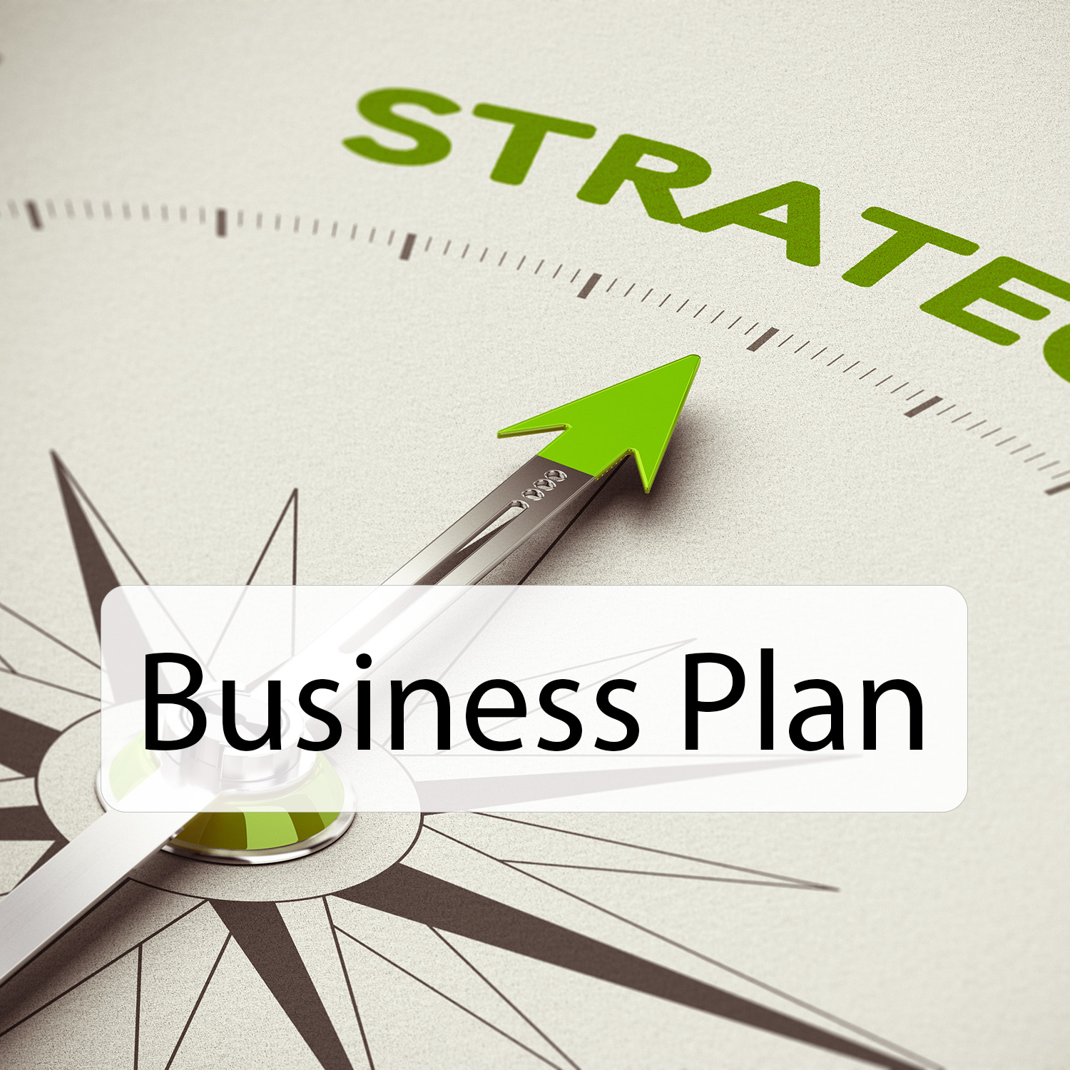 Business Plan