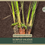 Thumbnail: Scirpus validus | Softstem Bullrush | Starter Plant Plug