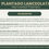 Thumbnail: Plantago lanceolata | Narrowleaf Plantain | Bareroot