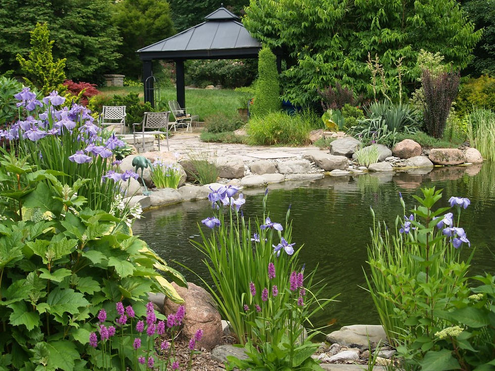 moist soil pond edge with native plants and flowers surrounding a landscaped backyard pond with seating area and natural stone border