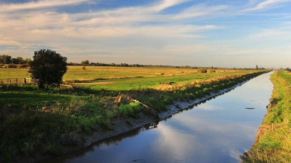 A tranquil fen landscape with a winding water channel cutting through lush green fields. The sky is expansive, and the surrounding terrain is flat, representing the typical wetland conditions found in fen ecosystems.