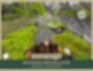 Decodon verticillatus | Swamp Loosestrife | Starter Plant Plug