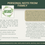 Thumbnail: Hibiscus moschetos | Swamp Rose Mallow | Starter Plant Plug