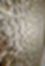 IMG_20250109_115527_384~2.jpg