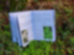 Thumbnail: SPRING 2026 #28 PRINT