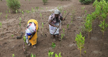 INITIATIVE AU KENYA : UN JOUR FÊRIÉ POUR LA BIODIVERSITÉ 