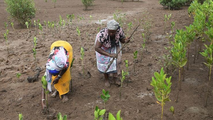 INITIATIVE AU KENYA : UN JOUR FÊRIÉ POUR LA BIODIVERSITÉ