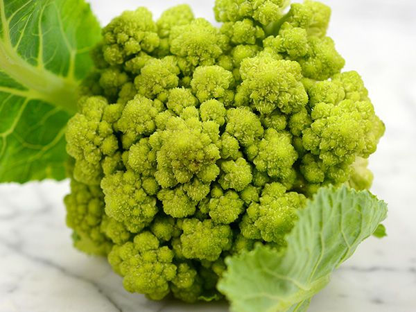 Cauliflower - Green Macerata