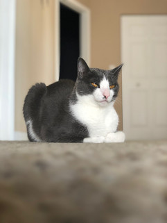 IMG_2038.jpeg