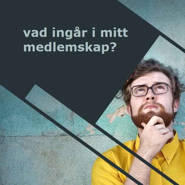 Informationsmöte 23/2