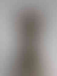 1181-1182. Taybad, Iran. Bronze; cast, engraved, chased, pierced. OveralL. H. 33 1/2 in. (85.1 cm) L. 32 1/2 in. (82.6 cm) W. 9 in. (22.9 cm) L. from heel of back foot to toe of front foot: 22 in. (55.9 cm) L. from toe of front foot to tip of nose: 4 in. (10.2 cm) L. from heel of back foot to tip of taiL. 7 in. (17.8 cm). Inscription in Kufic: Ordered by the just and wise prince Saif al-Dunya wa’l-Din ibn Muhammad al-Mawardi. The family name Mawardi is written on the chest between the name of the metalworker and under the name of the prince, so it is not clear to which one of them it applies. Although the word al- Mawardi means "the rosewater-seller," the size of the inscription corresponds to that of the prince and not that of the maker, which is considerably smaller. Happiness, prosperity, well-being. Work of Ja‘far son of Muhammad son of ‘Ali in the year A.H. 577 [A.D.1181/82]. OveralL. H. 33 1/2 in. (85.1 cm) L. 32 1/2 in. (82.6 cm) W. 9 in. (22.9 cm) L. from heel of back foot to toe of front foot: 22 in. (55.9 cm) L. from toe of front foot to tip of nose: 4 in. (10.2 cm) L. from heel of back foot to tip of taiL. 7 in. (17.8 cm). Accession no. 51.56.