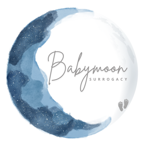Official Babymoon Surrogacy Logo - tranparent large.png