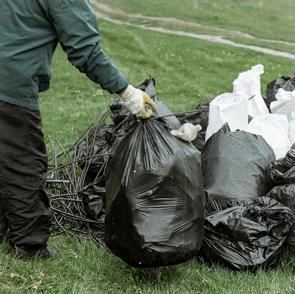 Junk Removal