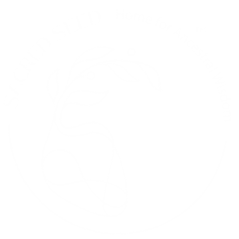 PNG logo graine sacrée_Mesa de trabajo 1 copia 35_edited.png