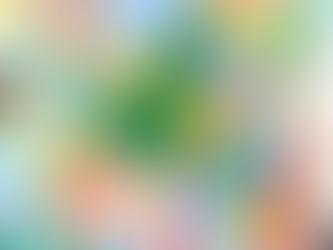 ASHLEY MARY : Un monde en couleurs