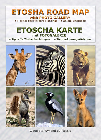 Kartenset Namibia Claudia du Plessis Nashorn Nirwana Elefanten Ekstase Buchreihe