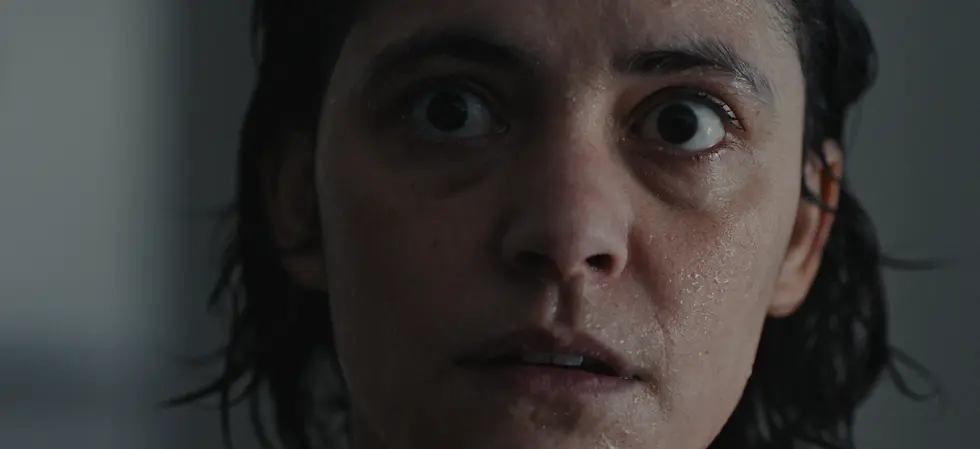 frame_100_1x.webp