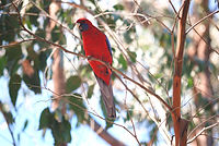DSC_0180_edited.jpg