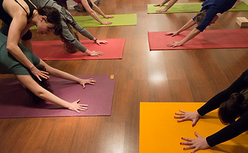Les Oiseaux Parleurs - Yoga Montrouge