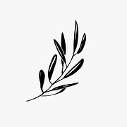 Logo de Simplesmente Oliva