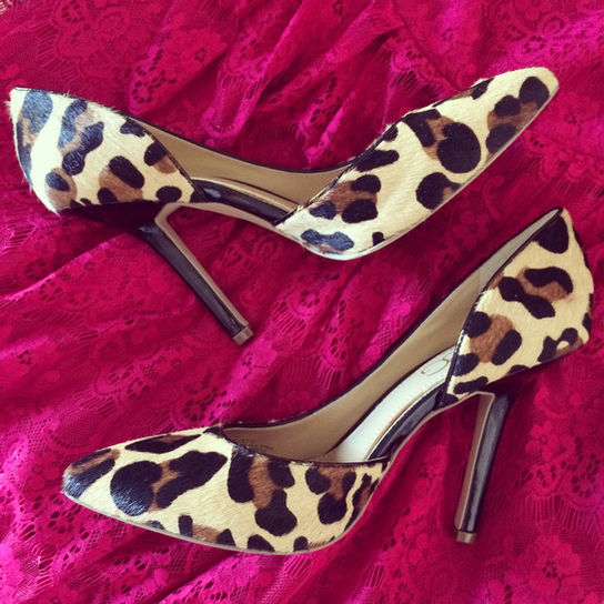 Leopard and Fuschia Lace