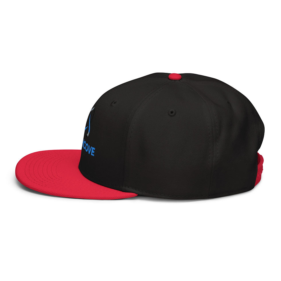 Thumbnail: Northcove Visuals - Snapback Hat