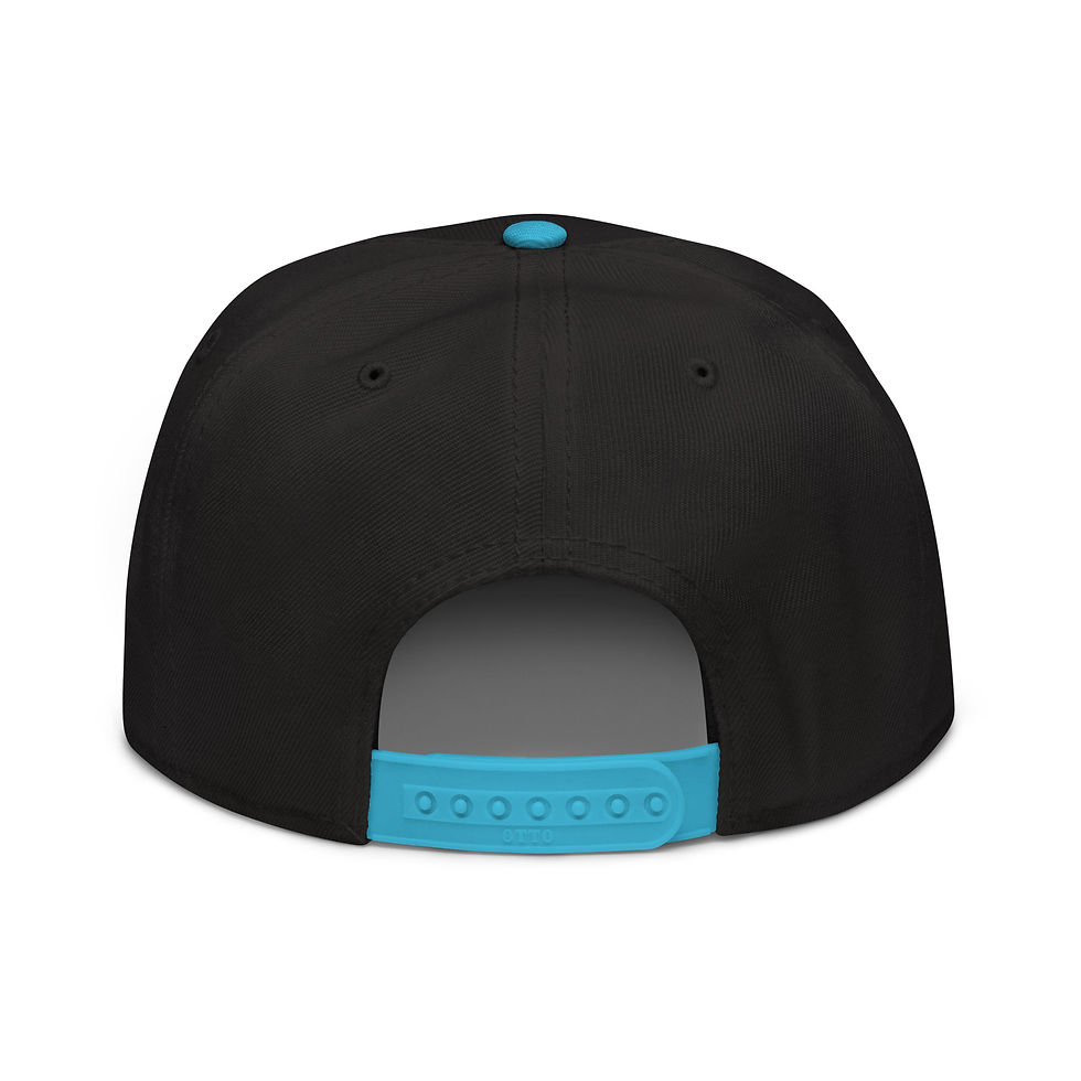 Thumbnail: Northcove Visuals - Snapback Hat