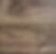 W66