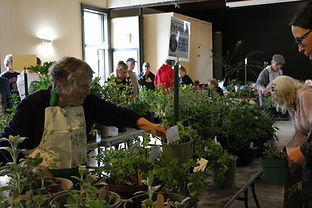 Past President Anne Hill helps a customer.JPG