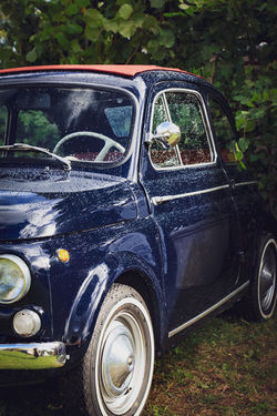 Cornbury Horse Trials